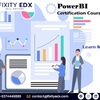 POWERBI 2 - Picture Box