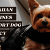 Hawaiian Airlines Support Dog Policy