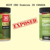 Smart Hemp Gummies