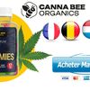 Canna Bee Organics CBD Gummies France Site officiel, avis et prix [2023]