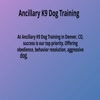 Aggressive Dog Training - Picture Box