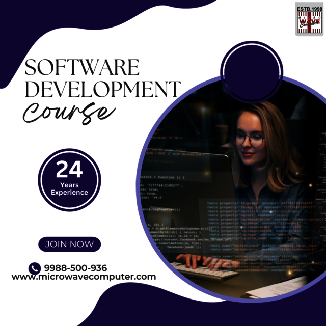 Software Development Course in Khanna Picture Box