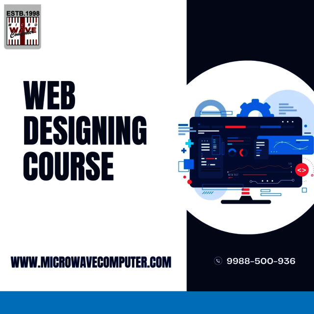 Web Designing Course in khanna Picture Box