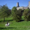  DSC4823 - balingehofforum