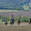  DSC4373 - balingehofforum