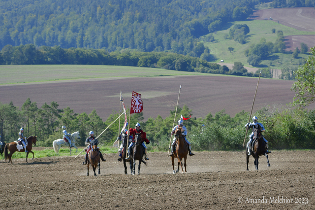  DSC4373 balingehofforum