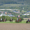  DSC4181 - balingehofforum