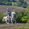  DSC4475 - balingehofforum