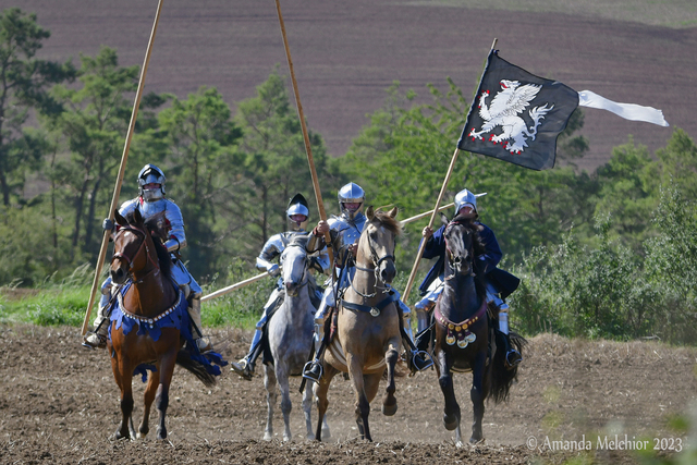  DSC4507b balingehofforum