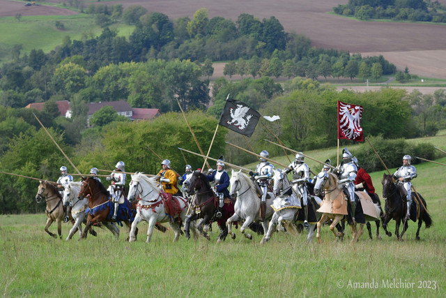  DSC5960 balingehofforum