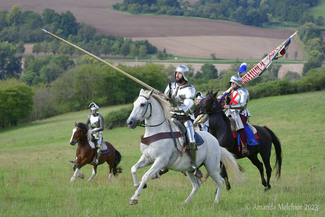  DSC5986 balingehofforum