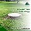 381228582 12213398581400642... - San Diego Stump Grinding Service Near Me: Expert Tree Stump Removal