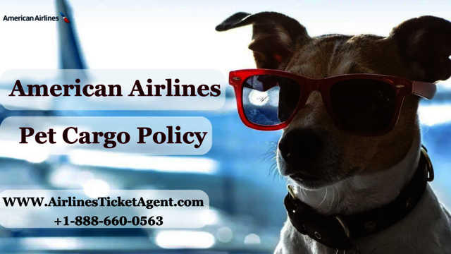 american-airlines pet-cargo-policy American Airlines Pet Cargo Policy