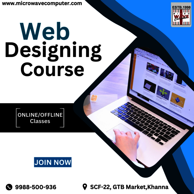 Web Designing Course in Khanna Picture Box