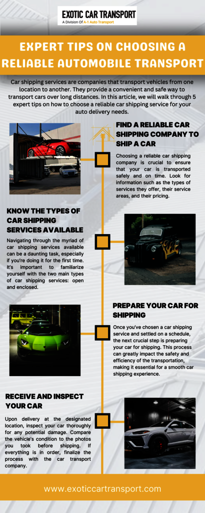 Expert Tips on Choosing a Reliable Automobile Tran Picture Box