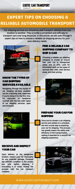 Expert Tips on Choosing a Reliable Automobile Tran Picture Box