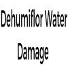 Dehumiflor Water Damage