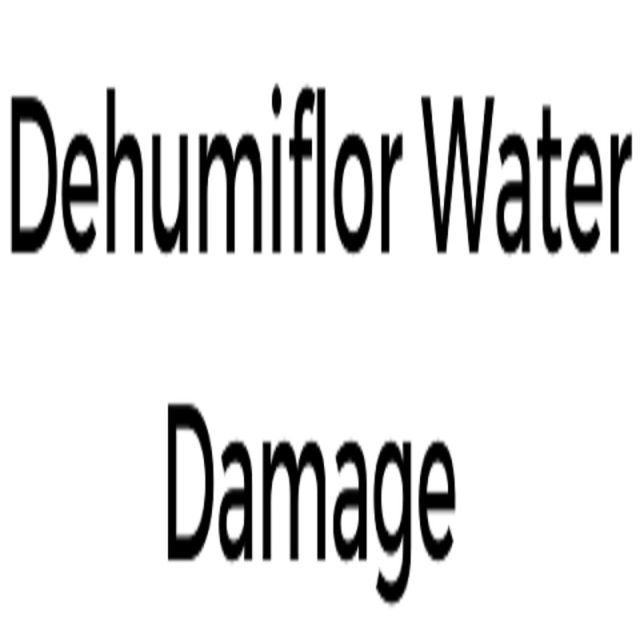 800 Dehumiflor Water Damage