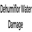 800 - Dehumiflor Water Damage