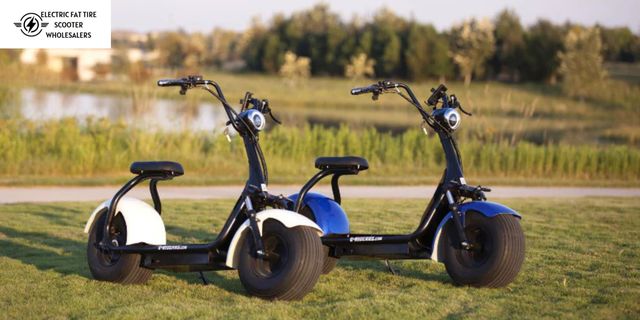 Electric Fat Tire Scooter Wholesalers (2) Electric Fat Tire Scooter Wholesalers