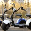 Electric Fat Tire Scooter Wholesalers