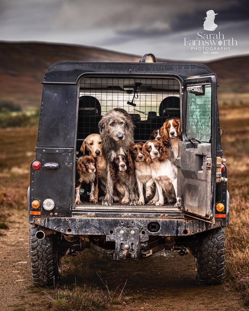 387185370 18316750354100825 5277443199088661105 n - 