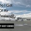 How Do I Get Hold Of Air New Zealand?