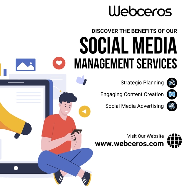 Best Social Media Marketing Services in Hyderabad Picture Box