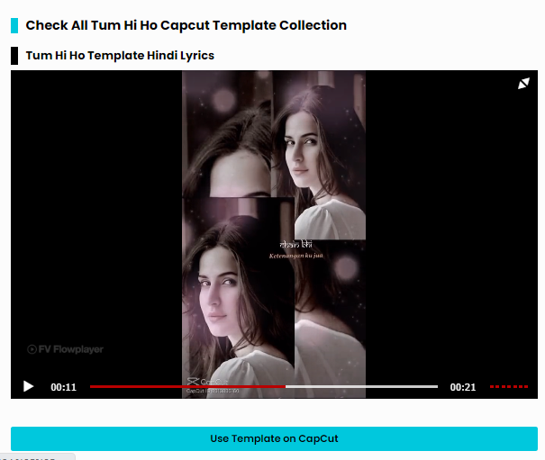 capcut Picture Box