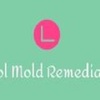 logo - Airisol Mold Remediation