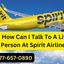 how-can-i-talk-to-a-live-pe... - How Can I Talk To A Live Person At Spirit Airlines?