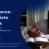 Salesforce Associate Certif... - Picture Box