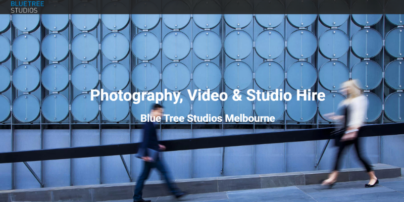 Blue tree Blue Tree Studios
