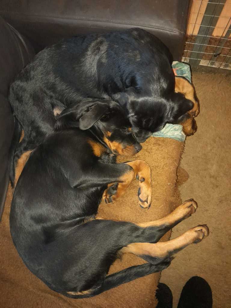 Afbeelding van WhatsApp op 2023-10-12 om 10.11 - 