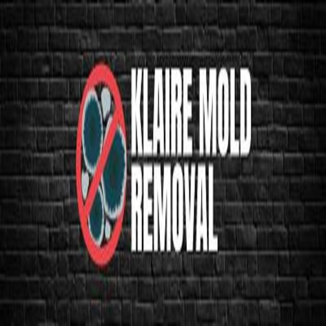 800 PX Logo Klaire Mold Removal