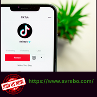 AVREBO Leveraging TikTok's Algorithm: Expert Tips to Maximize Visibility