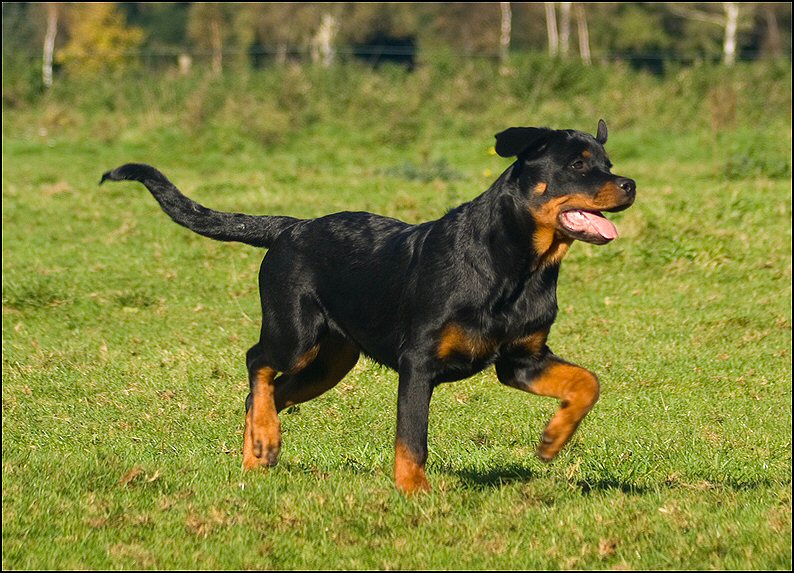 58 - Floss en Knut 18 okt