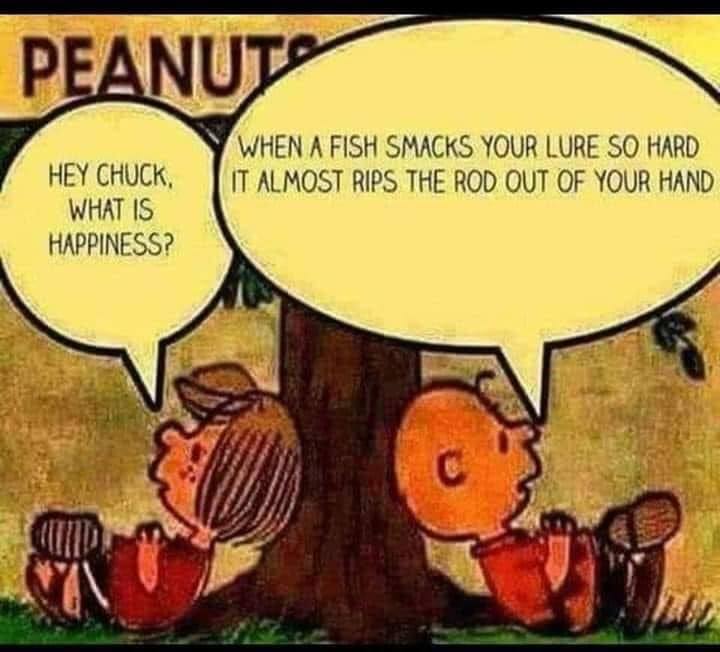 393271972 819127783546065 3414749307206754574 n - 