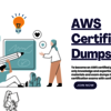 Expertly Crafted AWS Exam D... - Picture Box