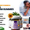 Sera Labs CBD Gummies USA Official Website & Reviews