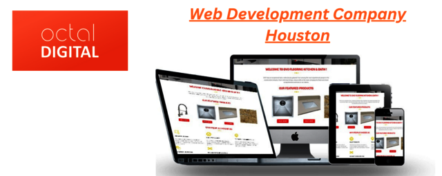 Web Development Company Houston Picture Box