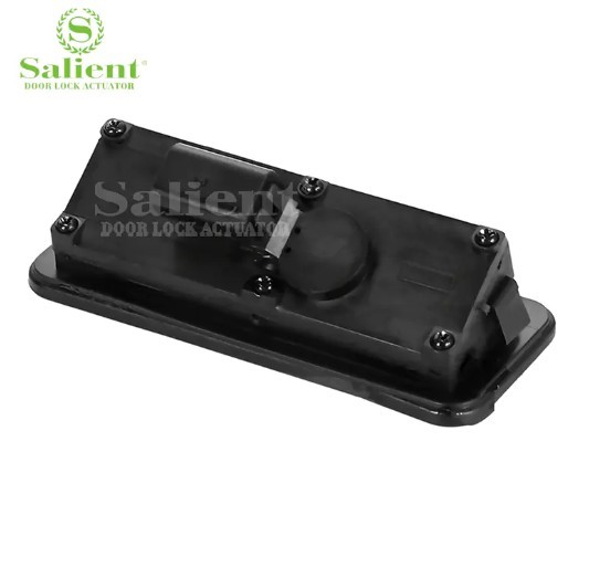 2 Picture Box