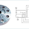 Ring Type Joint Flanges - Picture Box