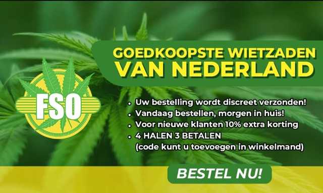 BEST QUALITY SEEDS,OIL,WEED AVAILABLE NEATHERLAND BEST QUALITY SEEDS