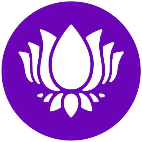 310647829 544484934349307 7460078016893421323 n Purple Lotus