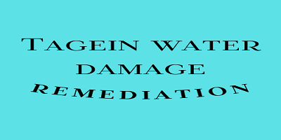 logo Tagein Water Damage Remediation