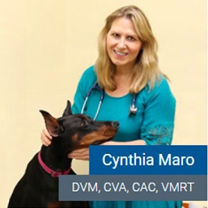 0-300X300-logo Cynthia Maro