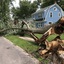 tree removal - Charlottesville Tree Works