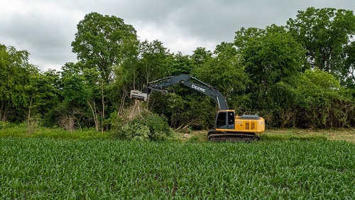 Tree service Charlottesville Tree Works