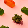 SCAM Alert- Read This Before Buying Green Farms CBD Gummies?